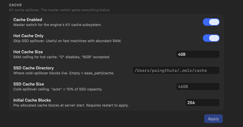 oMLX runtime settings